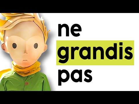 Le sens Caché derrière le Petit Prince.