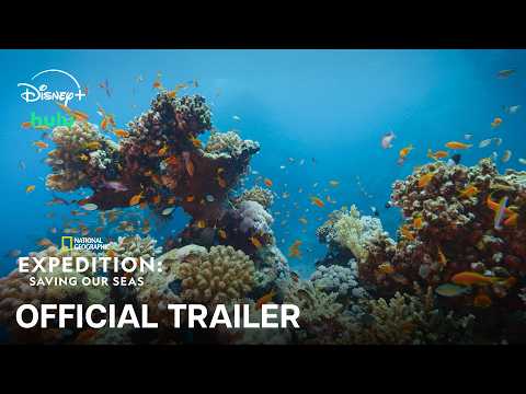 Expedition: Saving Our Seas