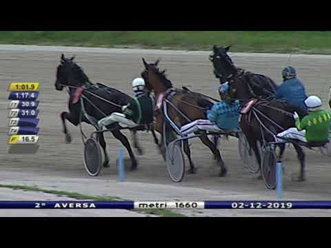 Aversa trotto 2 Dicembre 2019 - 2° Corsa Premio GIOTTO