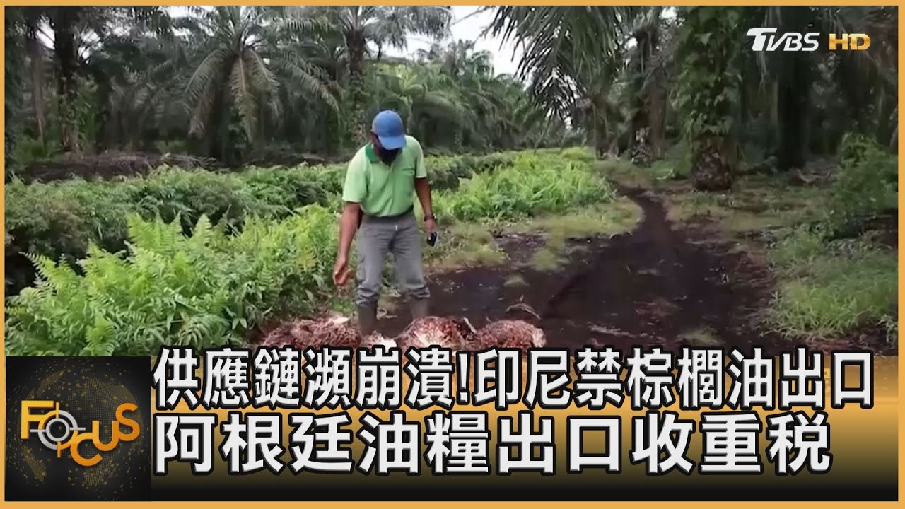 供應鏈瀕崩潰!印尼禁棕櫚油出口 阿根廷油糧出口收重稅