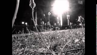 to whom it may concern