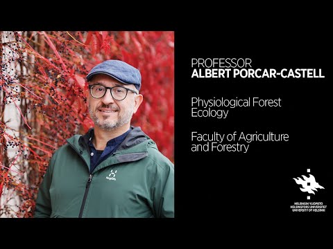 Albert Porcar-Castell: Revolucionando a compreensão de como as plantas funcionam e interagem