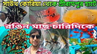 সাউথ কোরিয়া থেকে শ্রীরামপুর হাটে|Aquarium Fish Price|Aquarium Plants Serampore|Aquarium Fish 