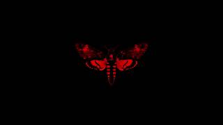 Lil Wayne - Hot Revolver (Instrumental)