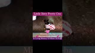 Little Bitty Pretty One~Billy Gilman(PrH)