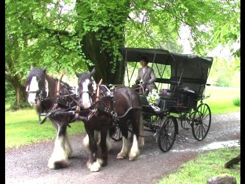 Horse-Drawn Wedding Carriage Anyone?!