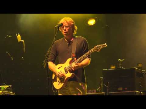Phish Lockn 4K - Wilson - 8/26/16