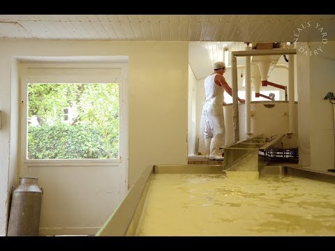 download lagu mp3 mp4 Montgomery Cheddar, download lagu Montgomery Cheddar gratis, unduh video klip Montgomery Cheddar