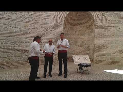 Klapa - dalmatinian song