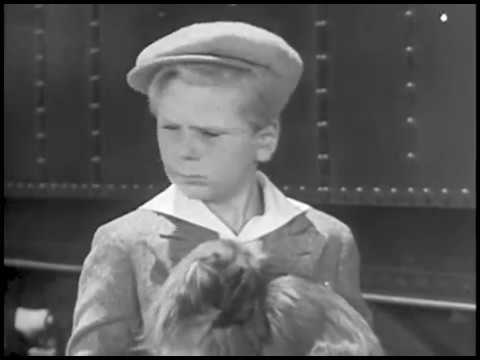 download lagu mp3 mp4 Jackie Cooper, download lagu Jackie Cooper gratis, unduh video klip Jackie Cooper
