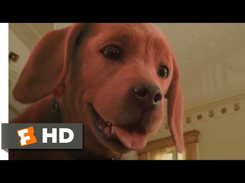 Clifford the Big Red Dog (2021) - Clifford Meets the Bully Scene (5/10) | Movieclips