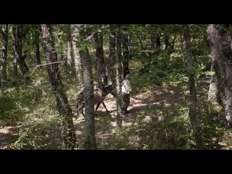 L'ULTIMO ASINO - TRAILER - 30.FFDL