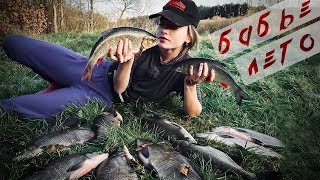 Снасти у насти кто ведущая
