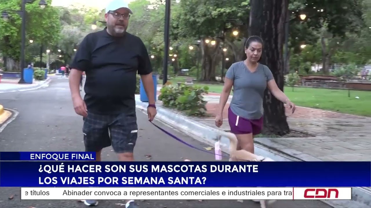 ¿Qué hacer con sus mascotas durante los viajes por Semana Santa?