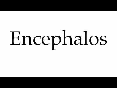 How to Pronounce Encephalos