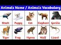 Wild animals names | animals for kids | animal vocabulary with pictures