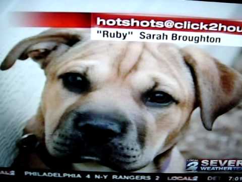 Ruby on Channel 2