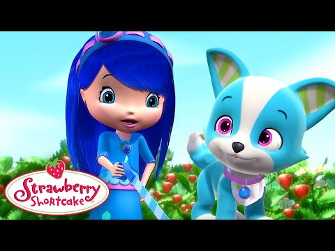 Trouble at the Dog Show π Blueberry Compilation π Strawberry Shortcake Full Episodes - Kids TV Series, Kingdom Kids Zone - Strawberry Shortcake - WildBrain
