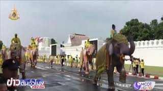 ช้างลักษณะงาม 11 เชือก เดินเทิดพระเกียรติ เนื่องในพระราชพิธีบรมราชาภิเษก