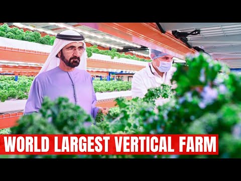 World Largest Vertical Farm in the middle of Desert