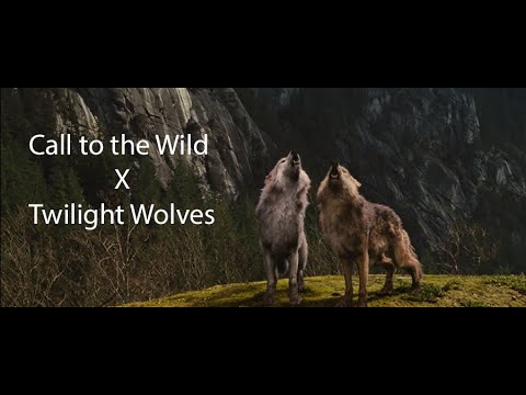 Call to the Wild - Twilight Wolves MV