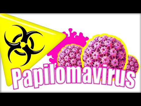 Genitali papilloma virus