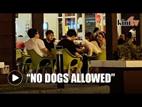 Pet dog at MCD sparks outrage