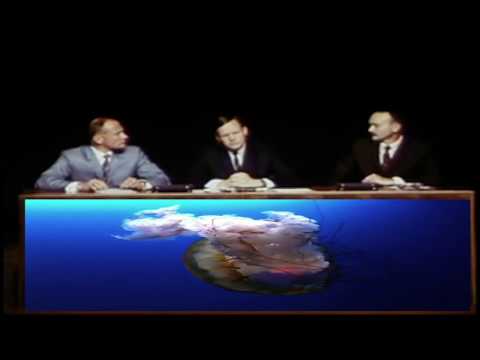 Terry Ohms - "Gentleman Caller" (Official Video)