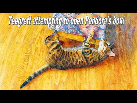 Teegrett won’t give up trying to open Pandora’s Box.