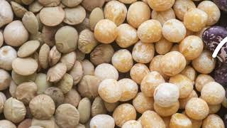 جديد وحدة تنظيف الحبوب ISM ISM-5 Grain cleaner | صورة 4 - Agroline