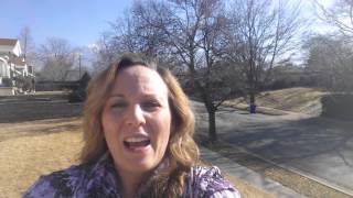 preview picture of video 'January 2015 Salt Lake City Area Real Estate Market Shift Video Update'