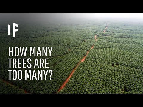 如果我們種下一萬億棵樹會怎樣？ (What If We Planted a Trillion Trees)