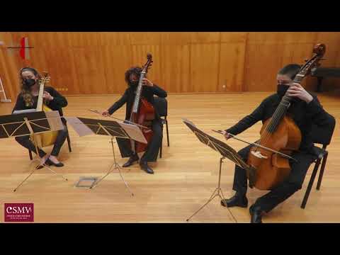 European Youth Viol Consort Concert Presentation