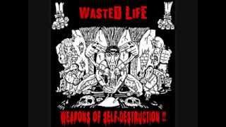 WASTED LIFE - CONTROL (PUNKERAMA RECORDS)