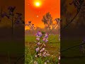Ho Koi Gulam Chahe Badshah Khuda Gawah Amitabh Bachchan ShriDevi Whatsapp Status