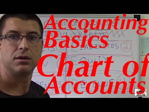 Accounting For Beginners #20 / Chart of Accounts / Assets, Liabilities, Equity, Revenues, Expenses Video