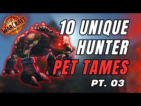 10 UNIQUE  Hunter Pet Tames | 11.1.0 | World of Warcraft | The War Within
