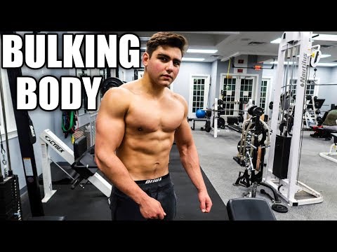 The Winter Bulking Physique | Full Workout at 175 lbs