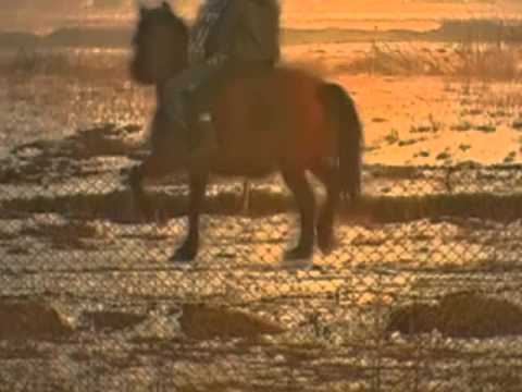 Pop Cornel Grigore din Uivar  Love is in the Air