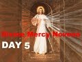 Divine Mercy Novena Day 5