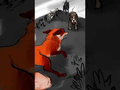 Help end Hunting on MoD Land!