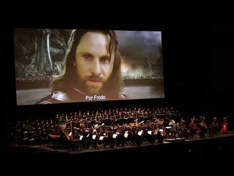 I can't carry it for you, but I can carry you !!! & for Frodo - The Lord of the Rings live orchestra