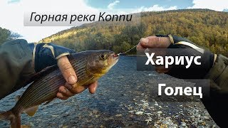 Ссылка