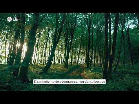 LG Sustainable Village | IFA 2023