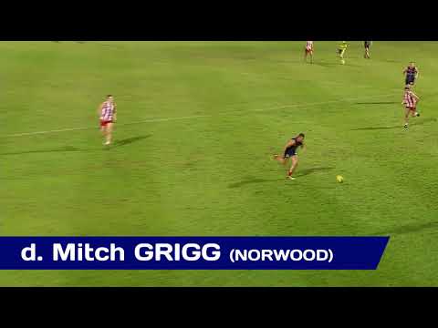 2018 Statewide Super Goals of the Year - Final Contenders