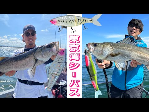 東京湾ビッグベイトシーバスにラフィン３００で挑む！～圧倒的存在感がシーバスを寄せる～