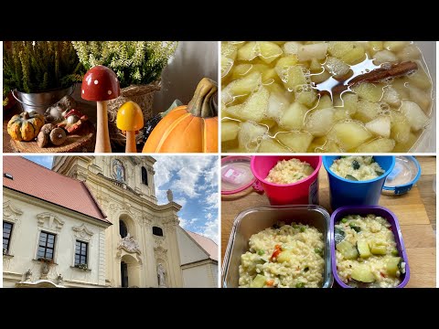 Vlog - vařím, ostružinová marmeláda, vycházka Rajhrad, podzimní výzdoba, atd…