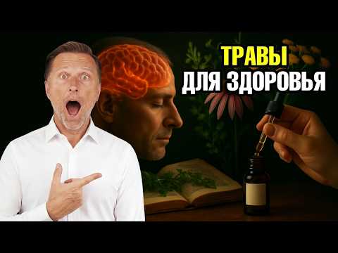 Эти 20 натуральных лекарств сильнее, чем аптечные🧐 Эти 20 натуральных лекарств сильнее, чем аптечные🧐