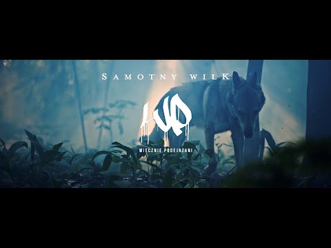 PATUS WP - SAMOTNY WILK 2 📽️OFFICIAL VIDEO 2024 💿🎛️💿BDZ 🎹Ansvernic Beats