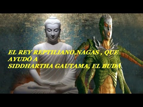 SIDDHARTHA AYUDADO POR EL REY REPTILIANO , BUDA PARTE 2